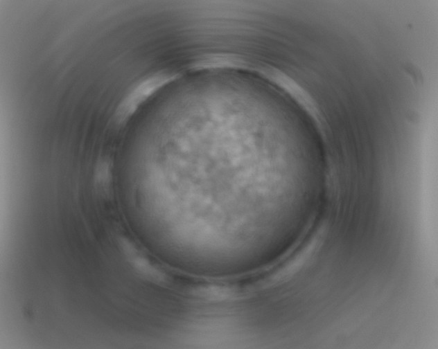 X0000115590937200911101235