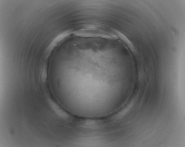 X0000115590938200911101235