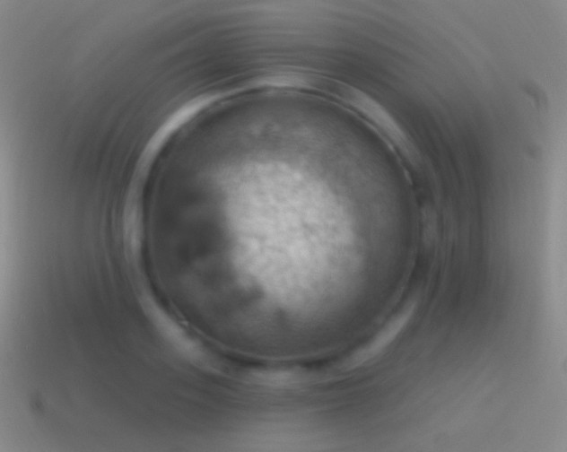 X0000115590939200911101235