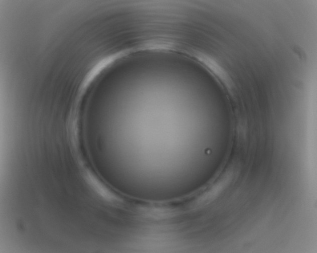 X0000115590941200911101235