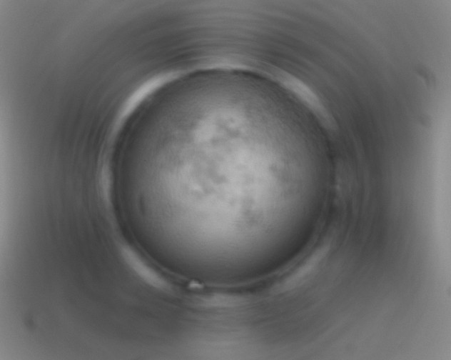 X0000115590942200911101235