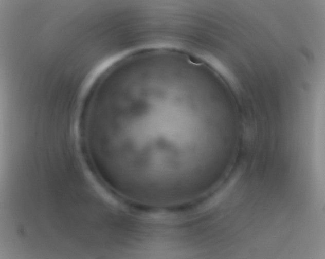 X0000115590943200911101235