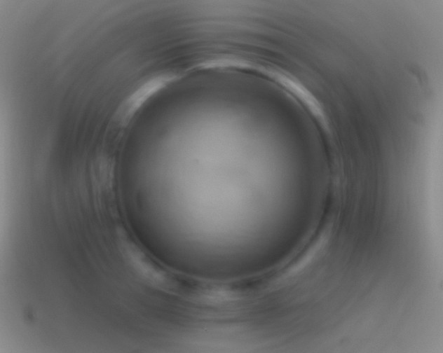 X0000115590945200911101235