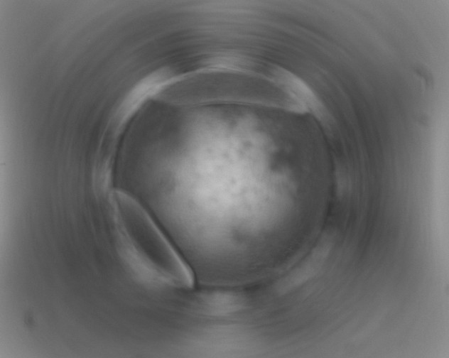 X0000115590946200911101235