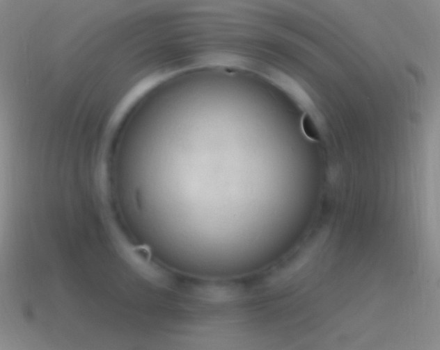 X0000115590947200911101235