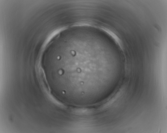 X0000115590949200911101235