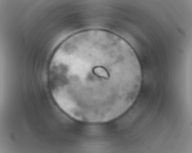 X0000115590950200911101235