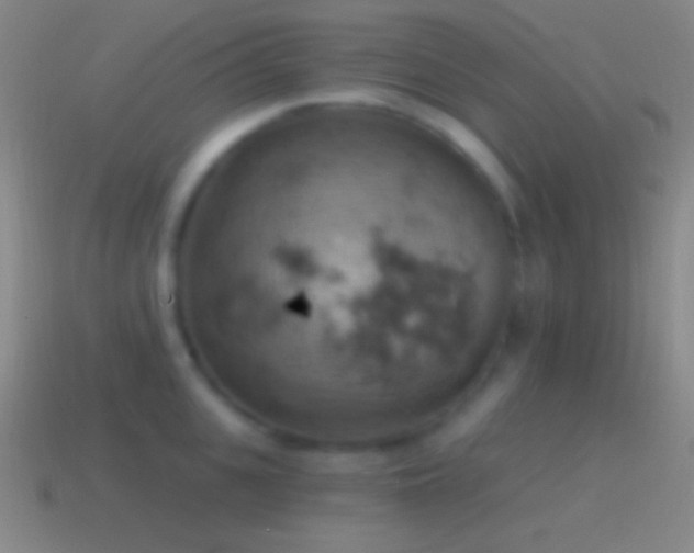 X0000115590951200911101235