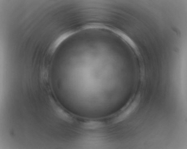 X0000115590953200911101235