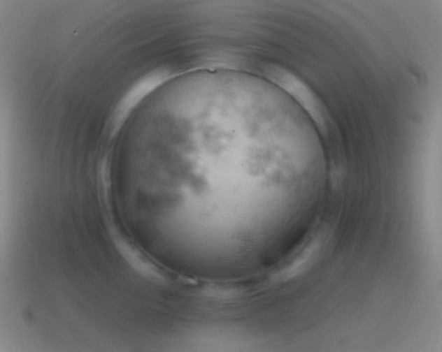 X0000115590954200911101235