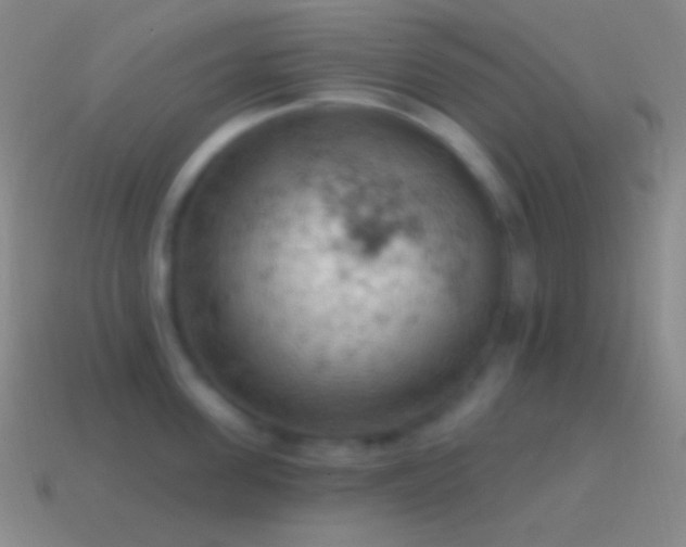 X0000115590955200911101235