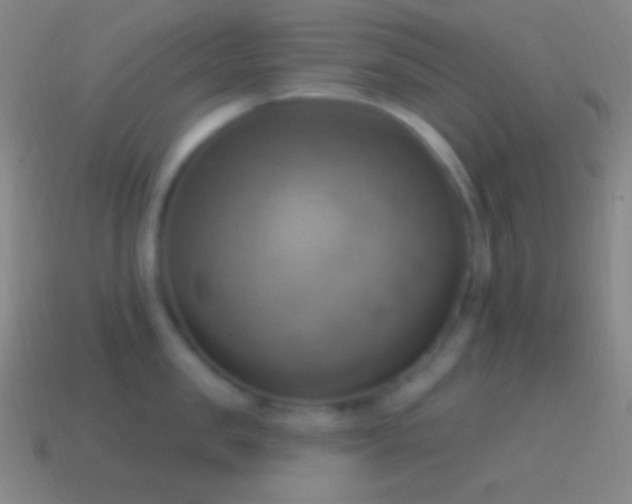 X0000115590957200911101236