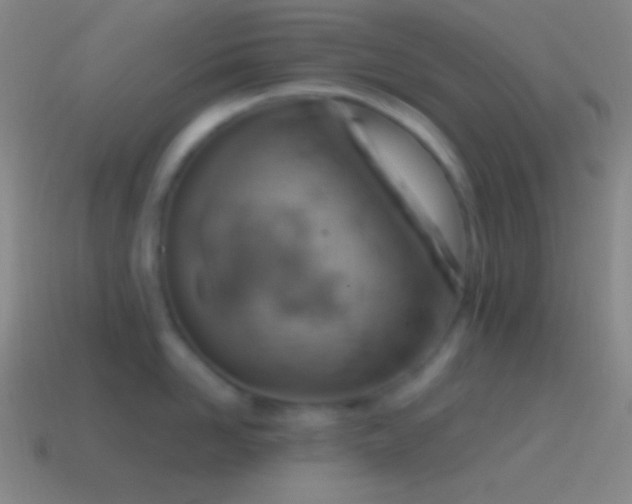 X0000115590958200911101236