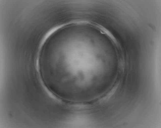 X0000115590959200911101236