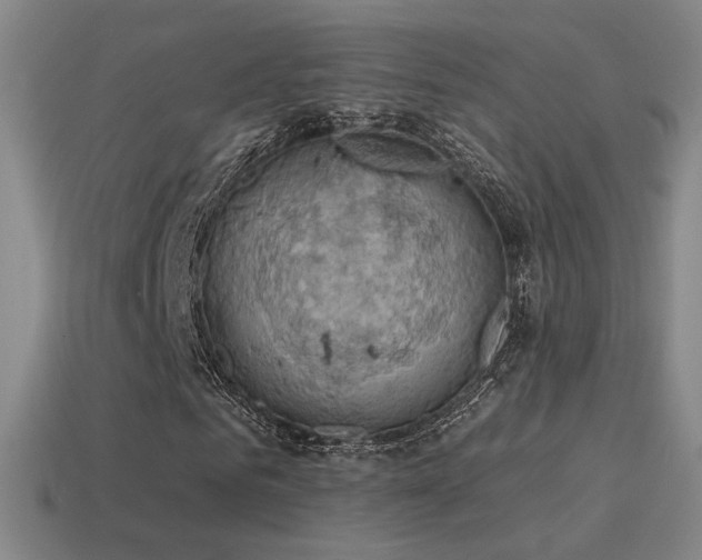 X0000115590961200911101235