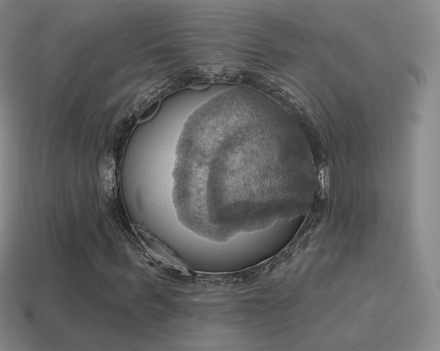 X0000115590963200911101235