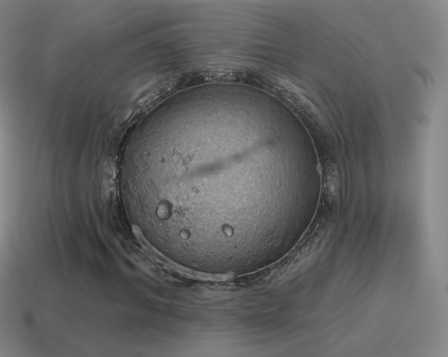 X0000115590964200911101235