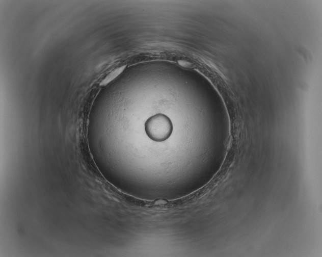 X0000115590965200911101235