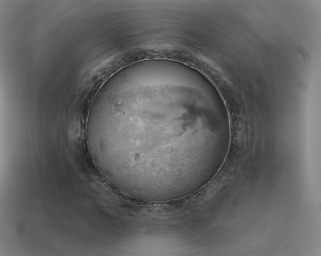 X0000115590966200911101235