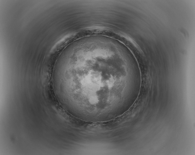 X0000115590967200911101235