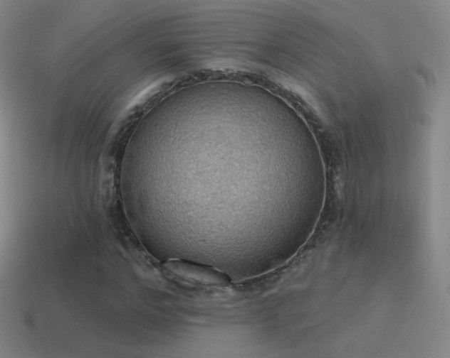 X0000115590968200911101235