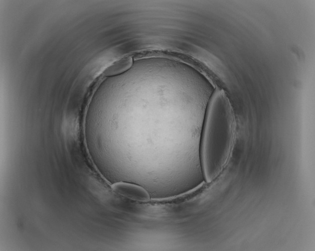 X0000115590969200911101235