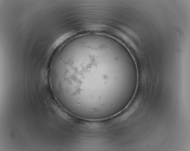 X0000115590970200911101235