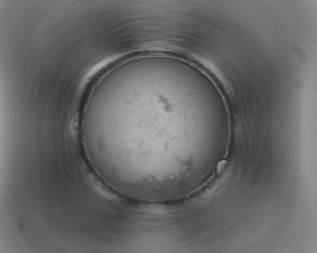 X0000115590971200911101235