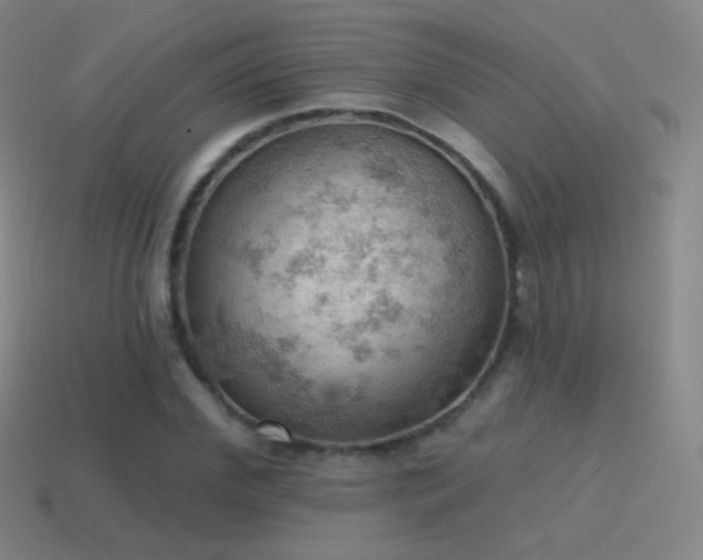 X0000115590972200911101235