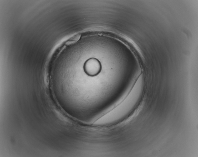 X0000115590973200911101235