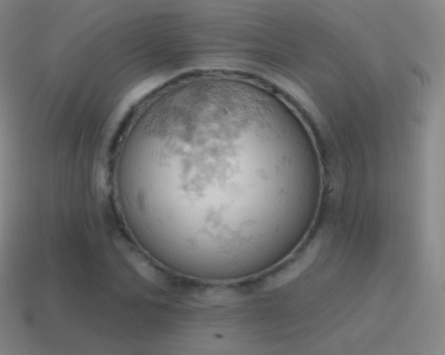 X0000115590974200911101235