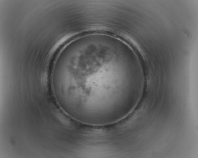 X0000115590975200911101235