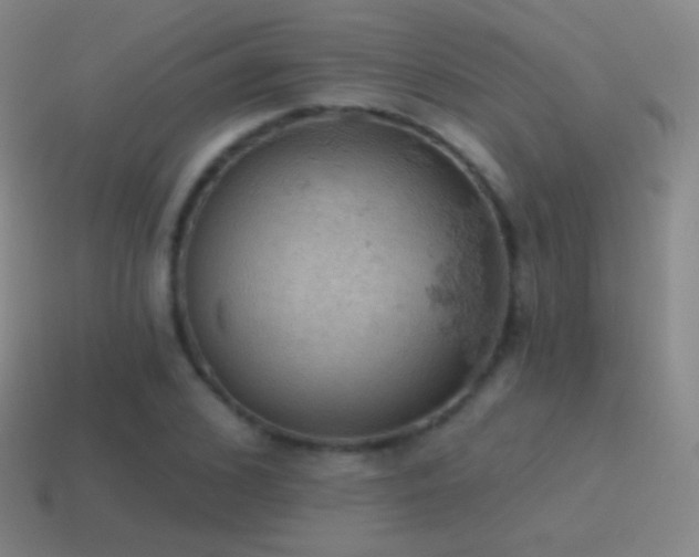 X0000115590976200911101235