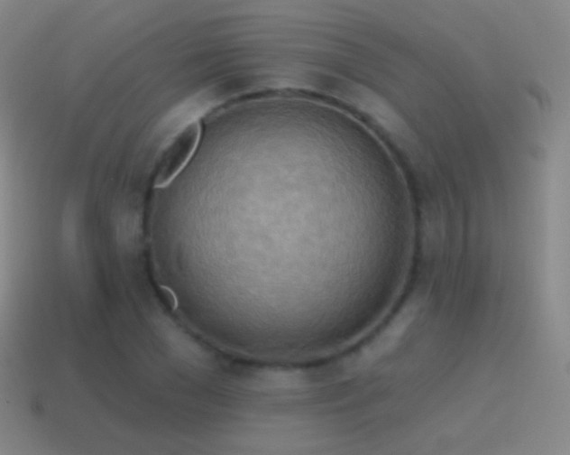 X0000115590977200911101235