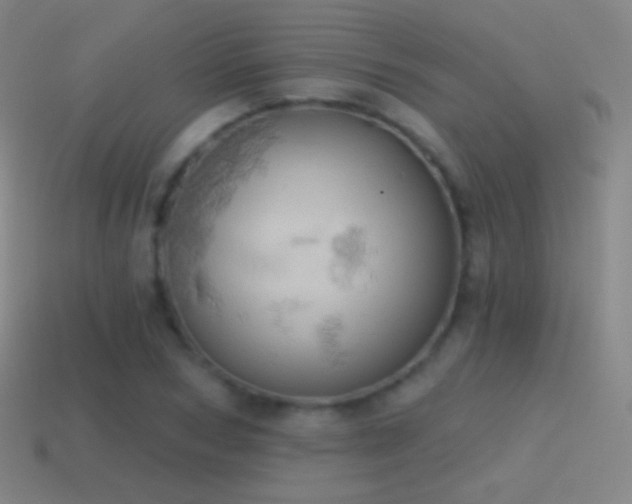 X0000115590978200911101235