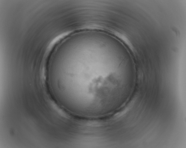 X0000115590979200911101235