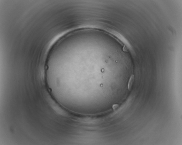 X0000115590980200911101235