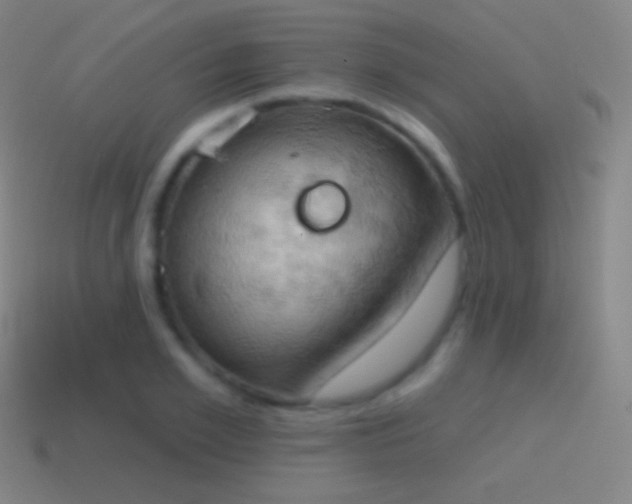 X0000115590981200911101235