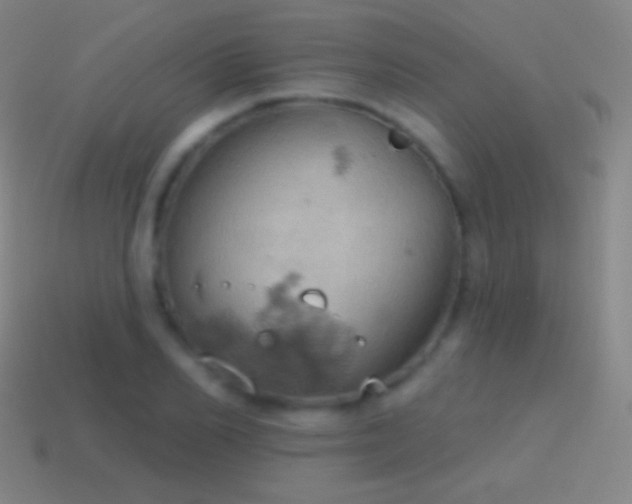 X0000115590982200911101235