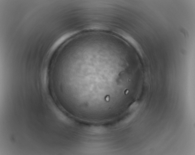 X0000115590983200911101235