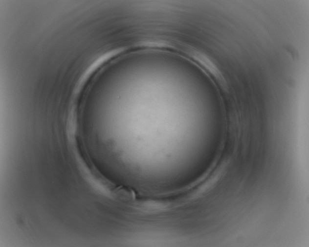 X0000115590984200911101235