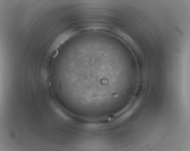 X0000115590985200911101235