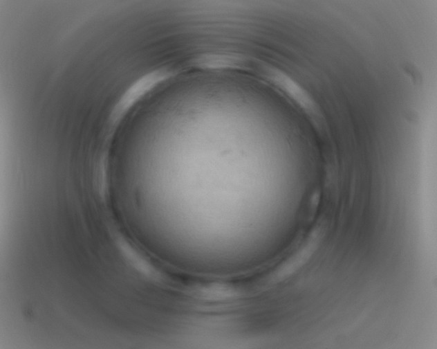 X0000115590986200911101235