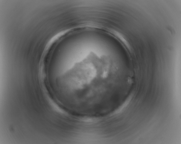 X0000115590987200911101235