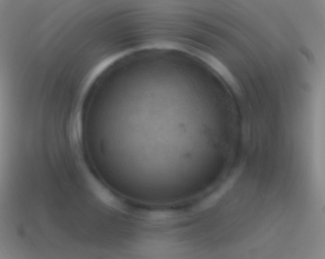 X0000115590988200911101235