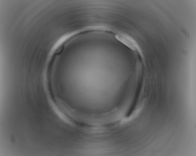 X0000115590989200911101235