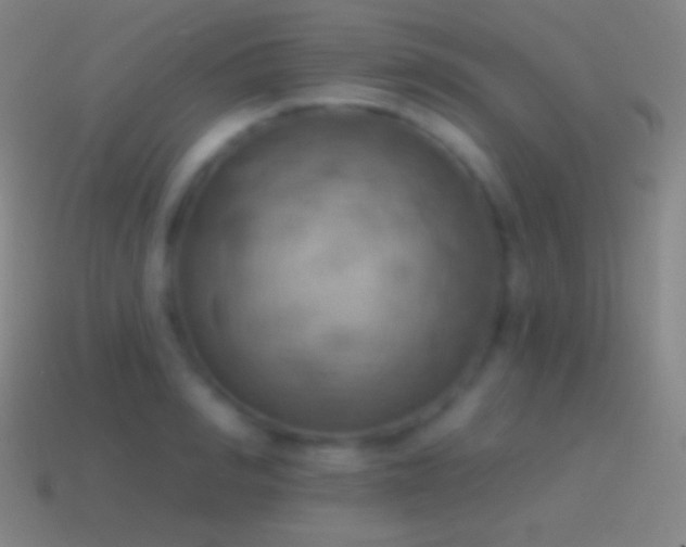 X0000115590990200911101235