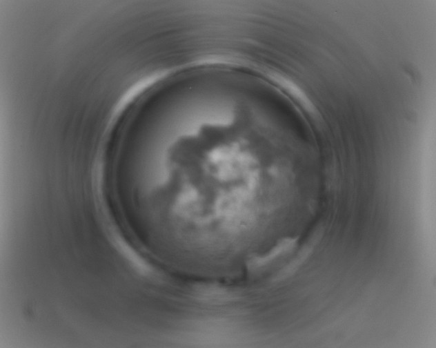 X0000115590991200911101235