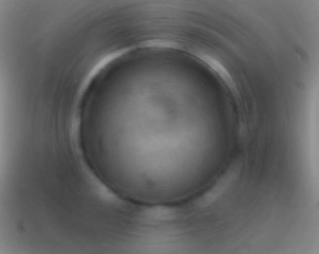 X0000115590992200911101235