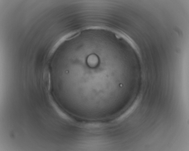 X0000115590993200911101235